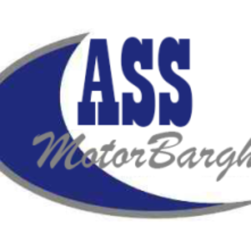 logo_abtinsanatsaadi